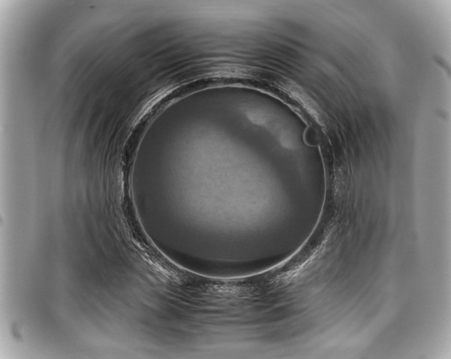 X0000098000829200803241340