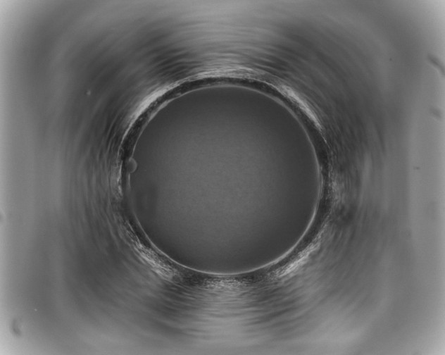 X0000098000830200803241340