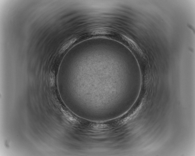 X0000098000833200803241340