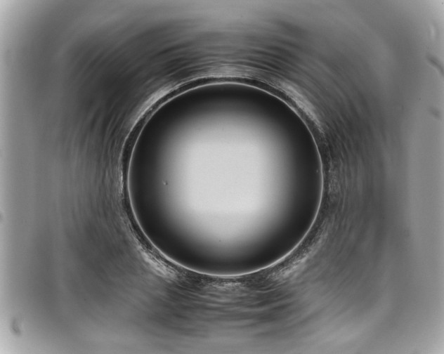 X0000098000837200803241340