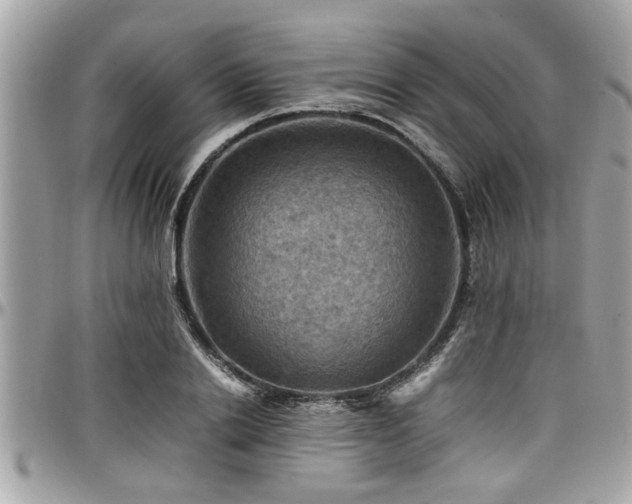 X0000098000838200803241340