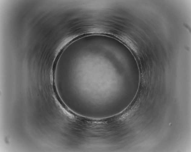 X0000098000839200803241340
