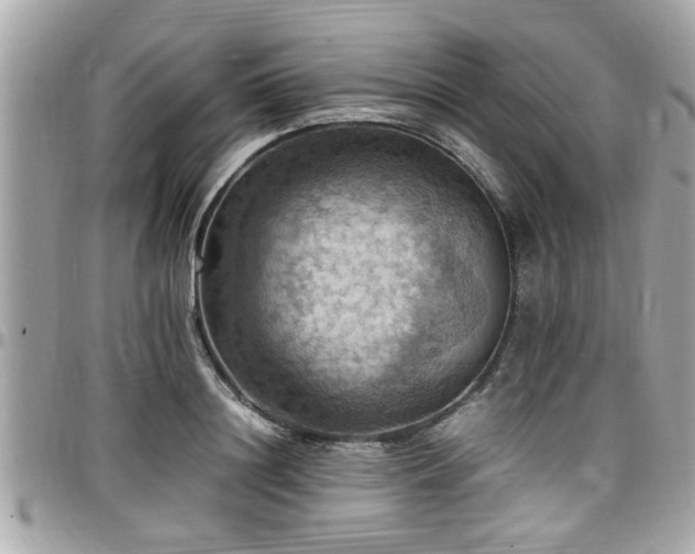 X0000098000844200803241340