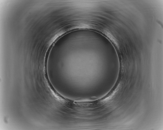 X0000098000845200803241340