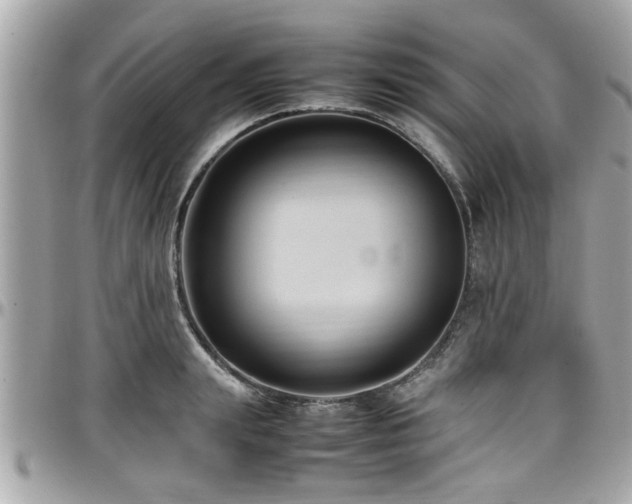X0000098000847200803241340
