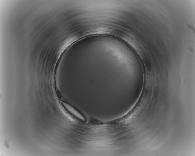 X0000098000850200803241340