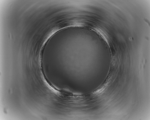 X0000098000851200803241340