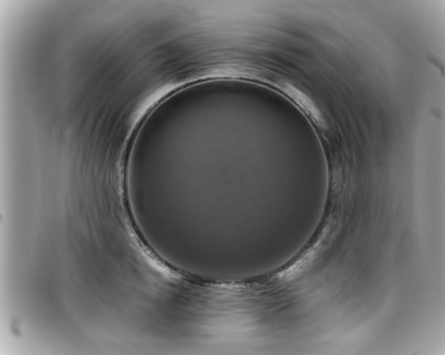 X0000098000854200803241340