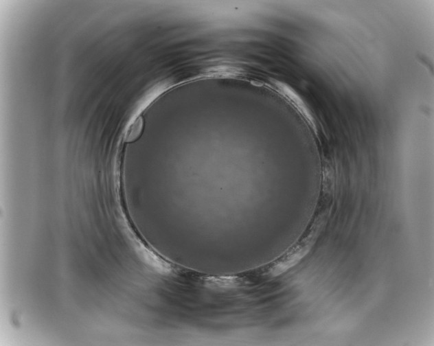 X0000098000859200803241340