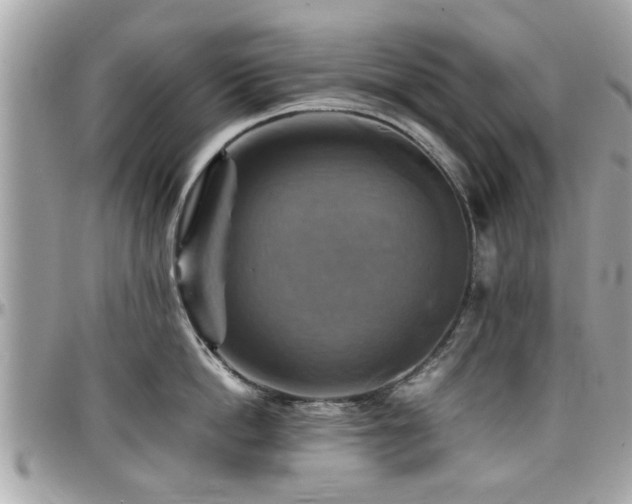 X0000098000862200803241340