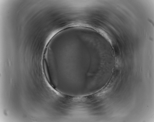 X0000098000863200803241340