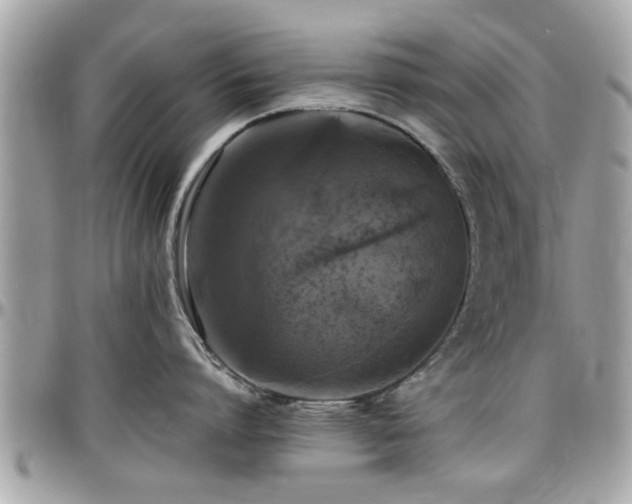 X0000098000864200803241340