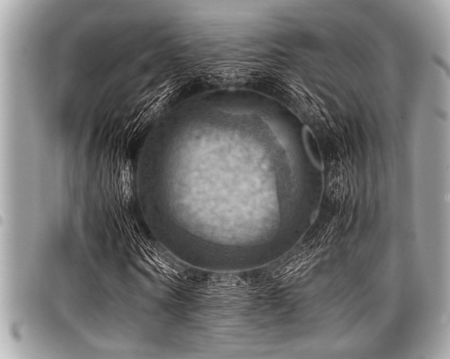 X0000098000866200803241340