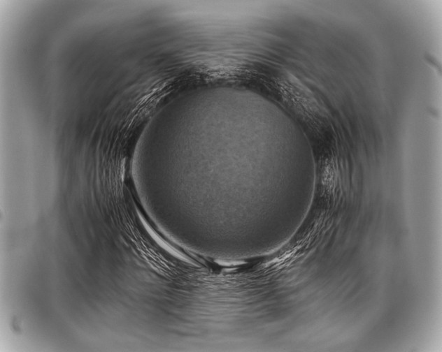 X0000098000868200803241340