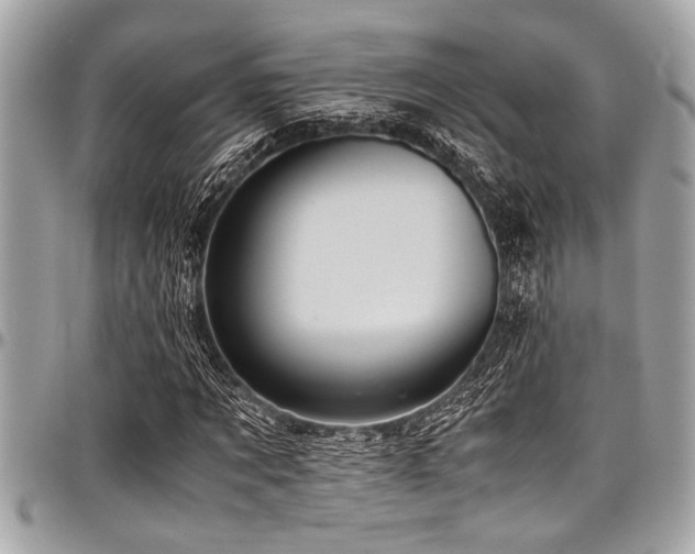 X0000098000869200803241340
