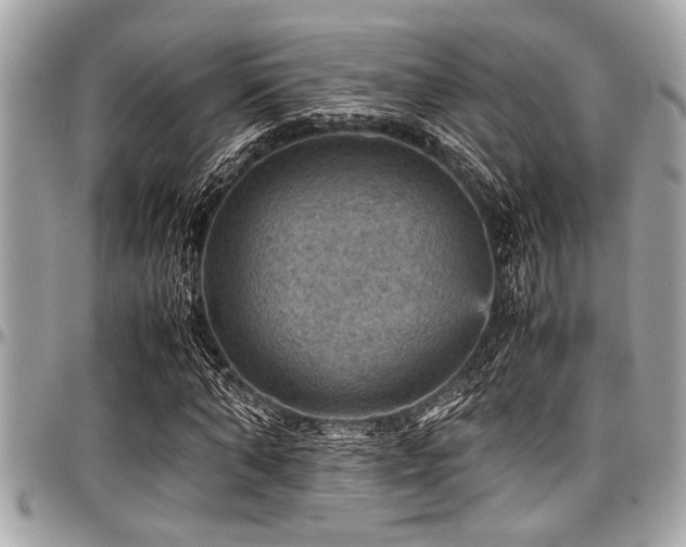 X0000098000870200803241340