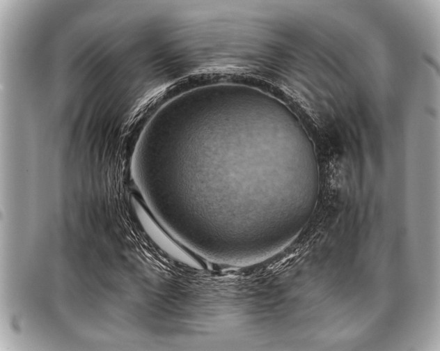 X0000098000872200803241340