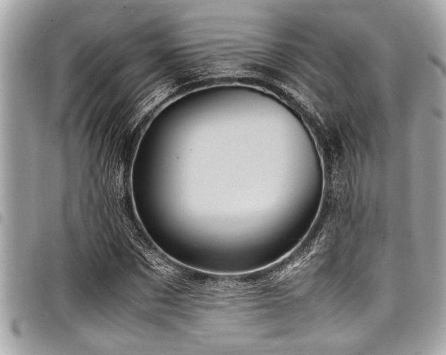 X0000098000873200803241340