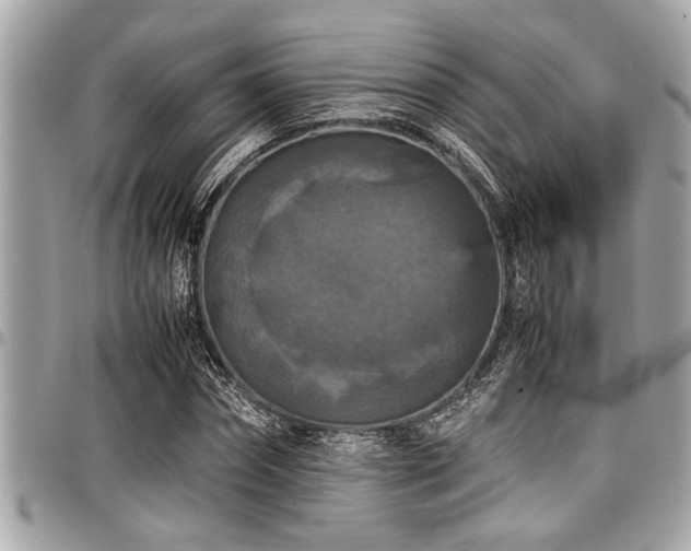 X0000098000874200803241340