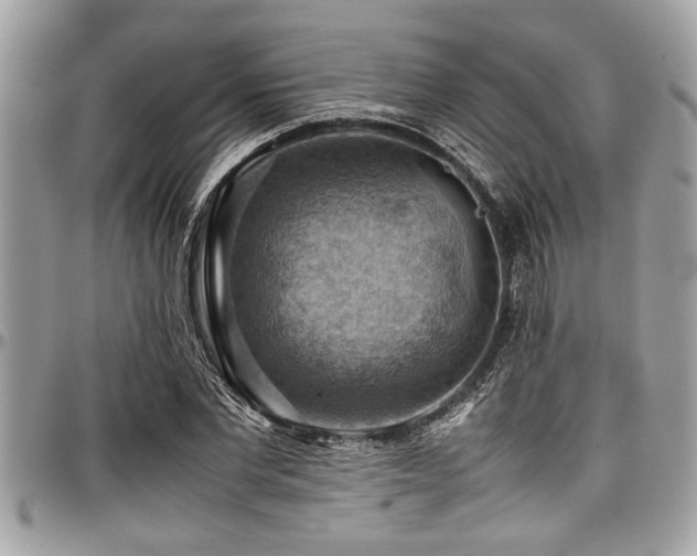 X0000098000877200803241339