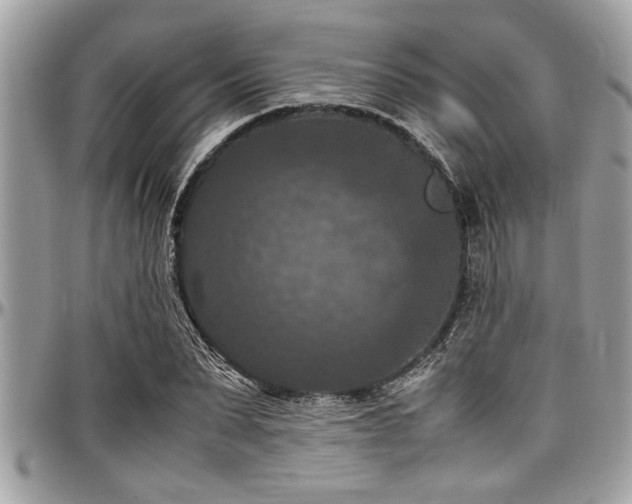 X0000098000879200803241339