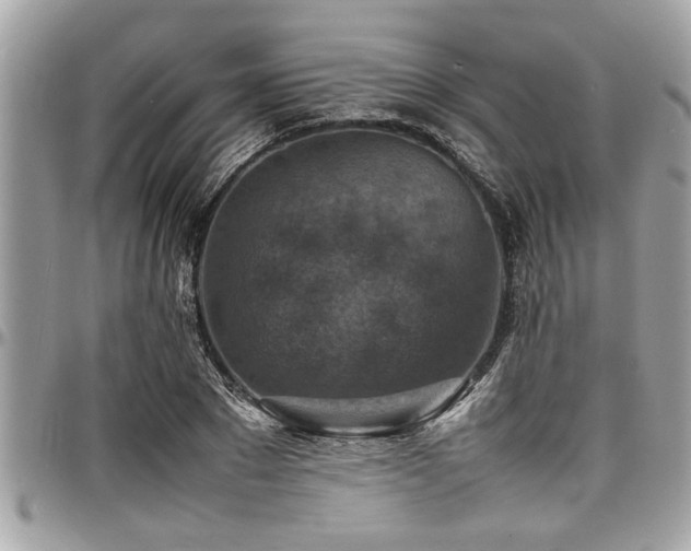 X0000098000881200803241339