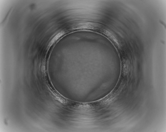 X0000098000882200803241339