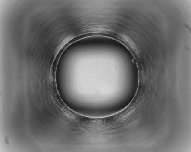 X0000098000883200803241339