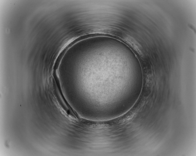 X0000098000884200803241339