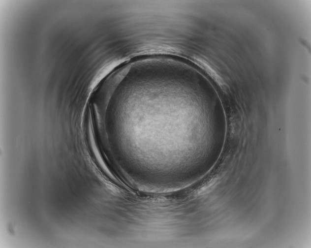 X0000098000885200803241339