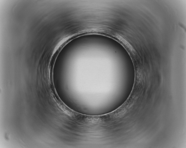 X0000098000886200803241339