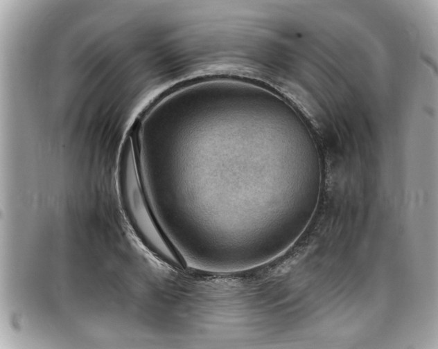 X0000098000888200803241339