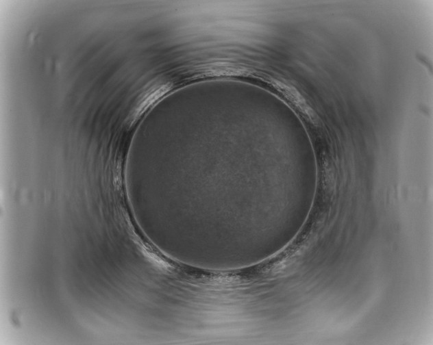 X0000098000889200803241339
