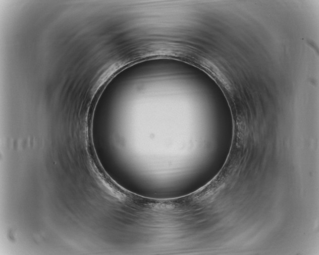 X0000098000890200803241339