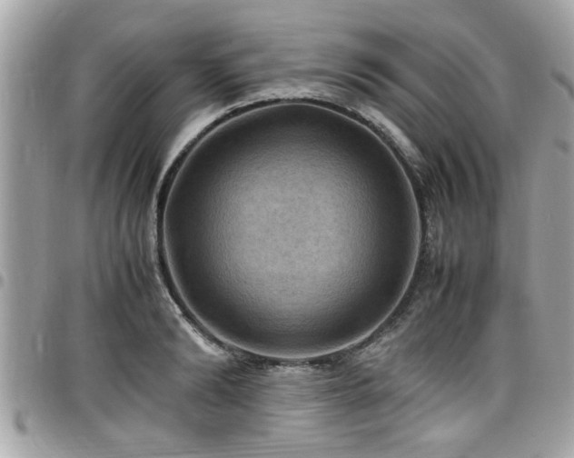 X0000098000894200803241339
