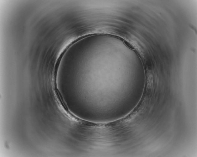 X0000098000896200803241339