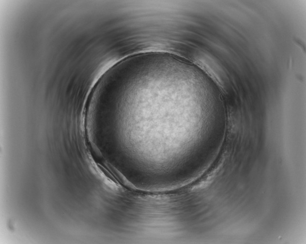 X0000098000900200803241339