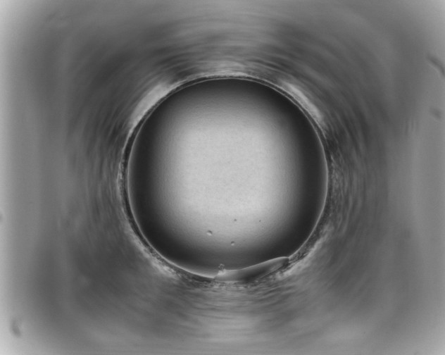 X0000098000901200803241339