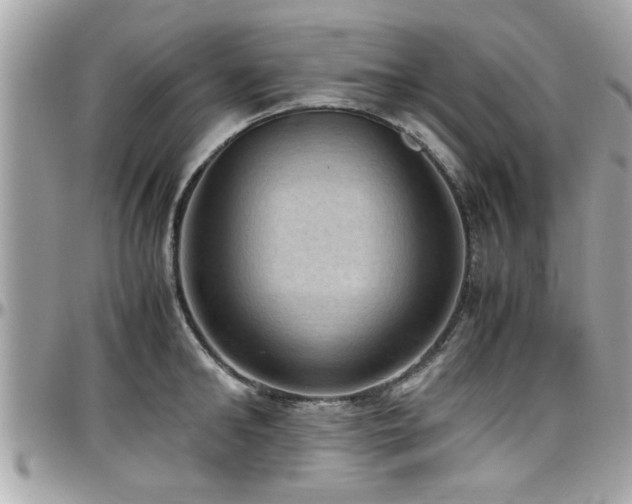 X0000098000902200803241339
