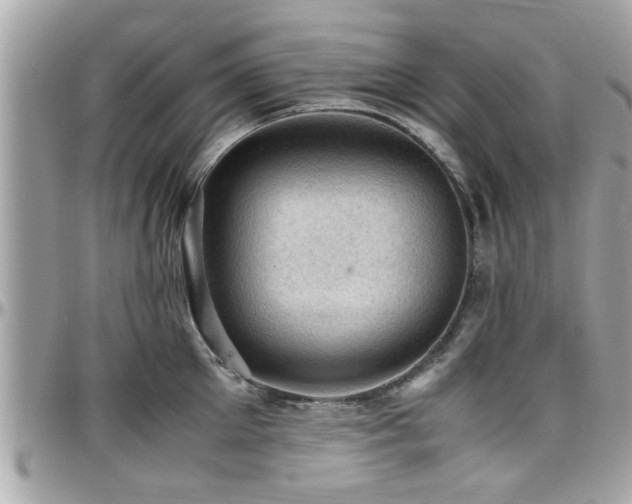 X0000098000905200803241339