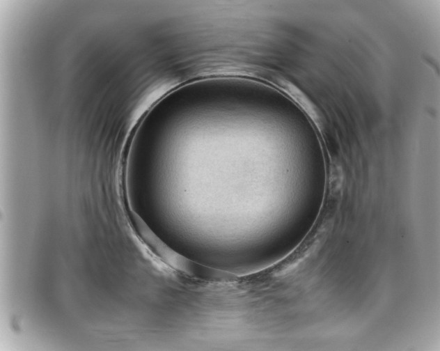 X0000098000909200803241339
