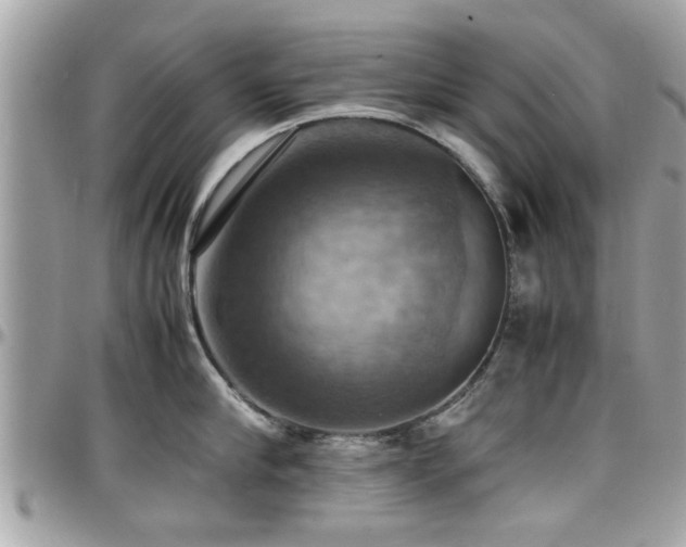 X0000098000910200803241339