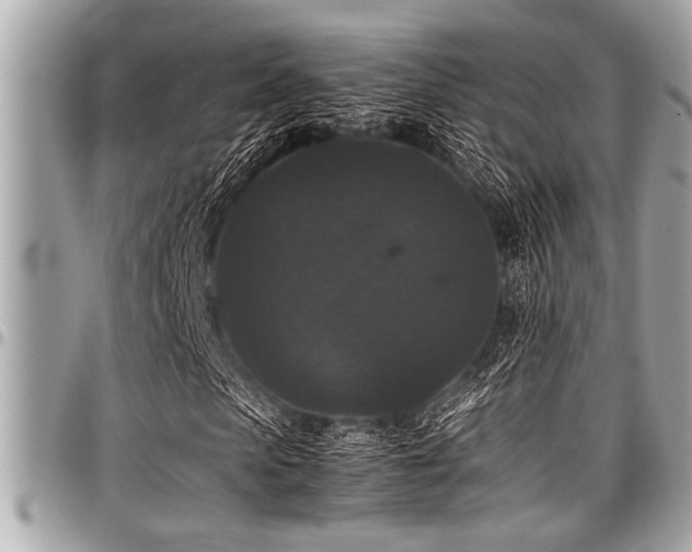 X0000098000913200803241338