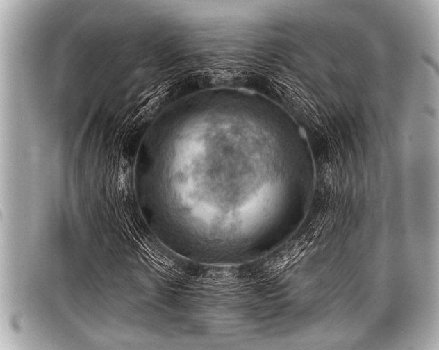 X0000098000914200803241338