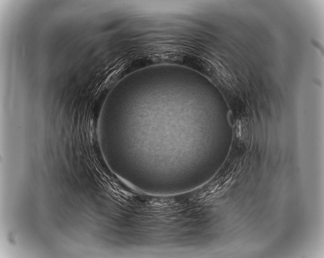 X0000098000915200803241338