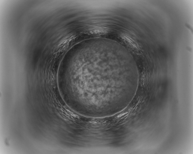 X0000098000917200803241338