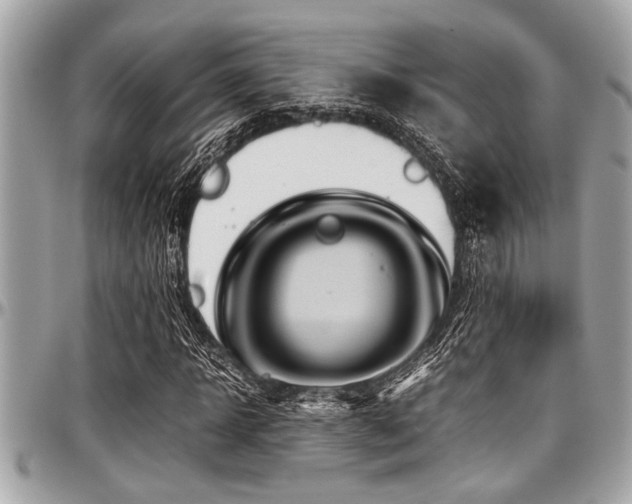 X0000098000918200803241338