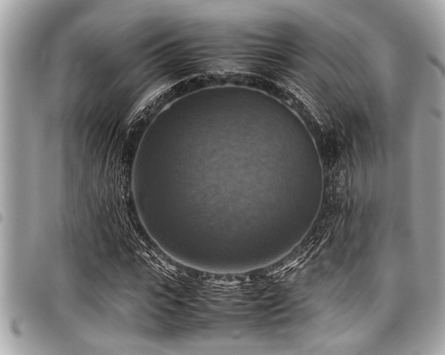 X0000098000919200803241338