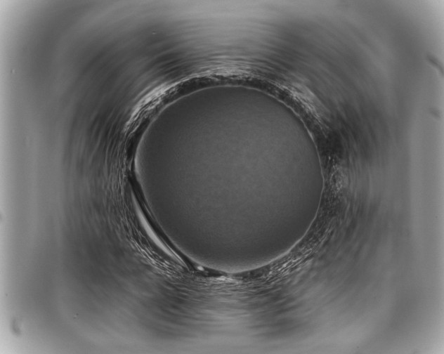 X0000098000920200803241338