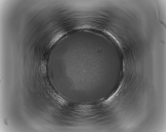 X0000098000921200803241338